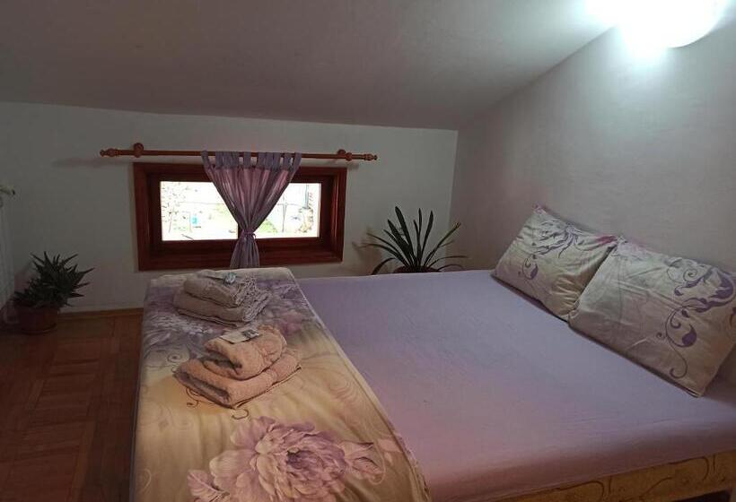 استودیو خانوادگی, Guest House Ganovi