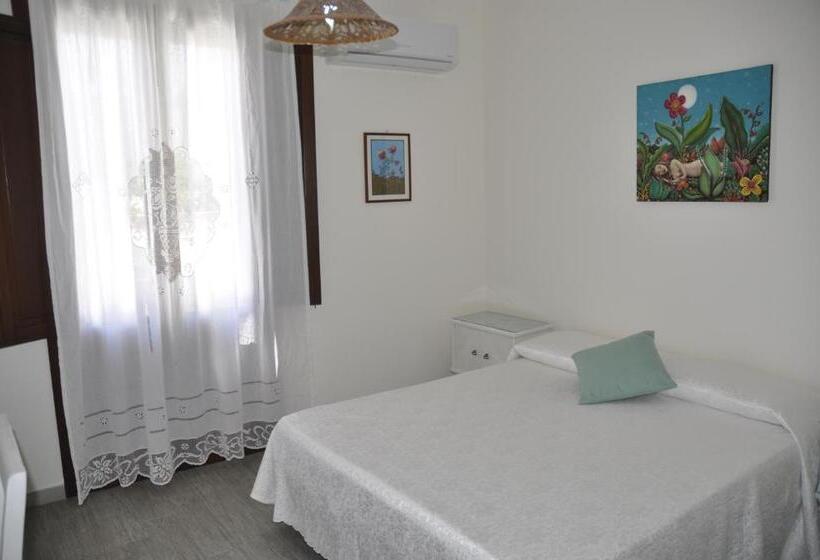 Quarto Estandar, Azzurromare