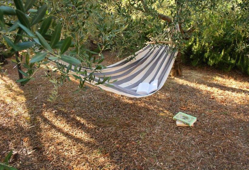 Escritório Estándar, Bio Agriturismo Montemenardo Apartments