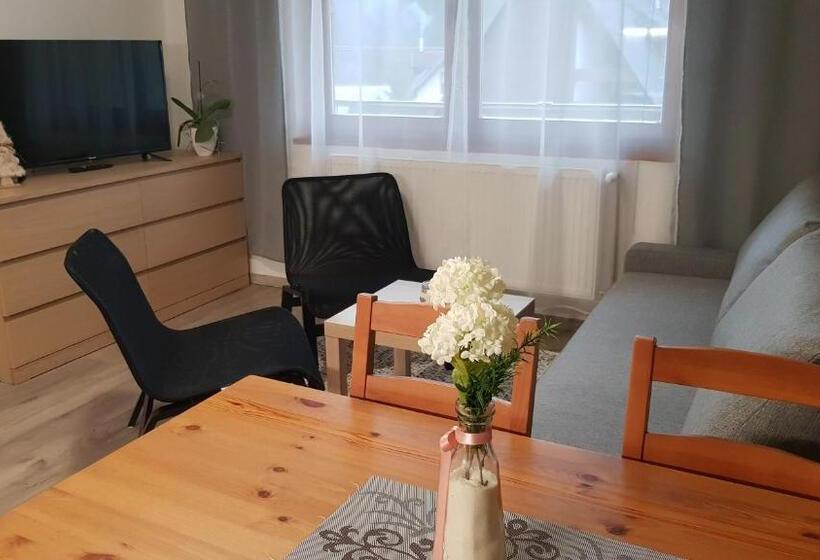 Апартаменты 1 Спальня с Балконом, Apartmány Habovka