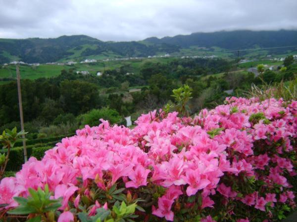 خانه 2 خوابه, Quinta Do Quarteiro