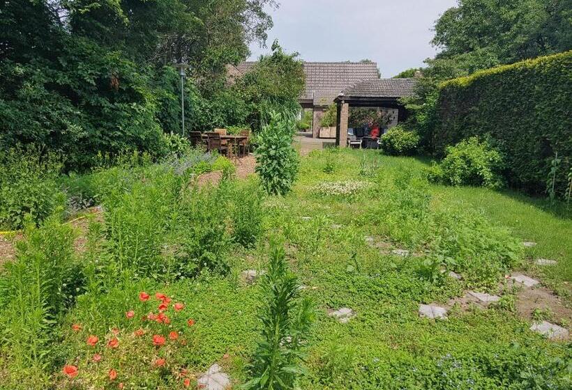 Номер Стандарт, B&b Oostrik