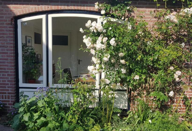 Номер Стандарт, B&b Oostrik