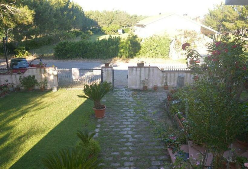 Номер Basic, B&b Fra E Fe
