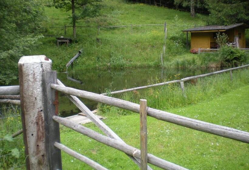 Номер Стандарт с Террасой, Schlintl Hof