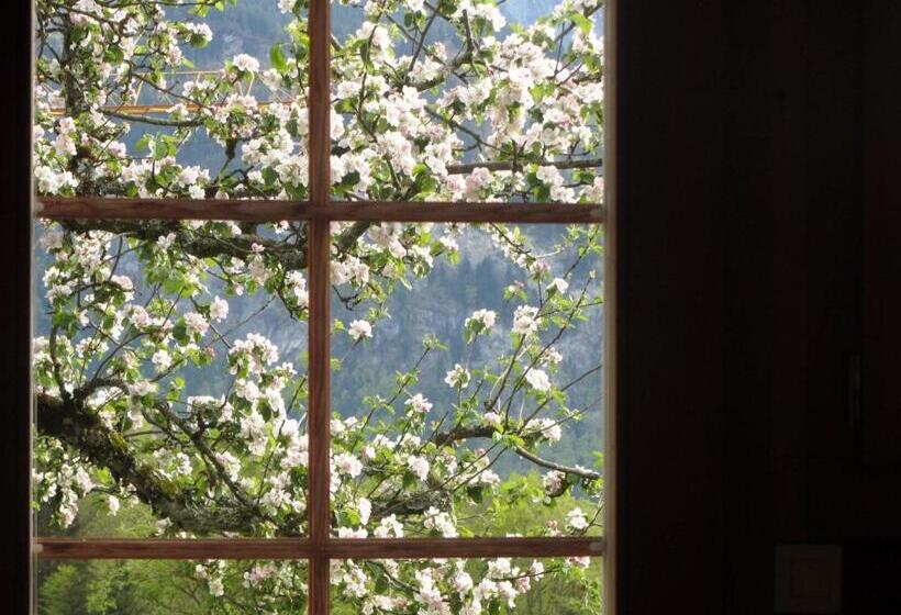 Номер Стандарт, Pension Staldacher