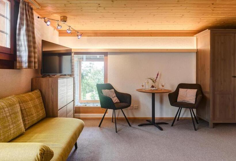 Номер Стандарт, Pension Staldacher