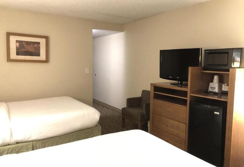 Номер Стандарт, Days Hotel By Wyndham Peoria Glendale Area