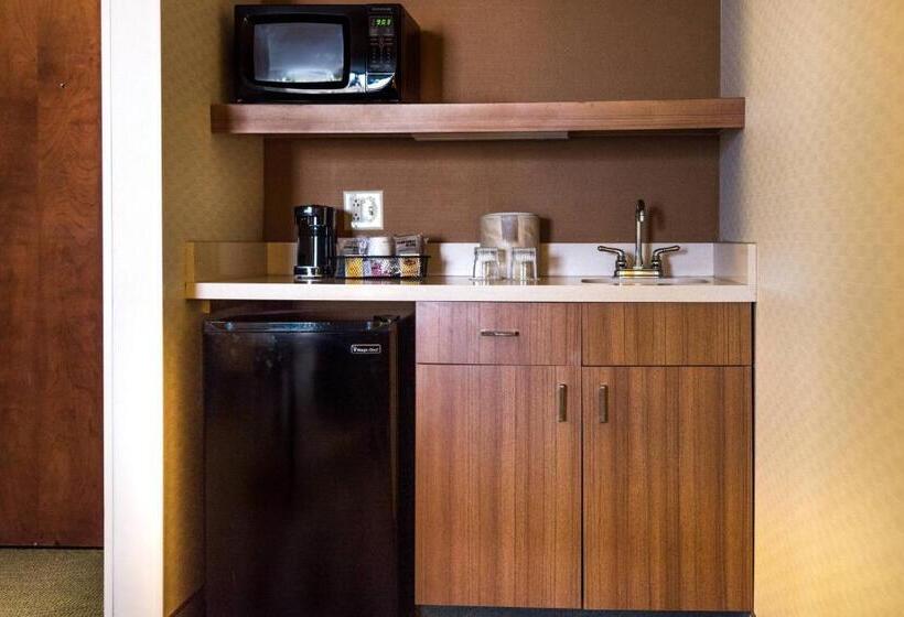 Люкс Кровать Кинг, Springhill Suites By Marriott Chicago Naperville Warrenville