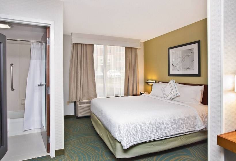 Люкс, Springhill Suites By Marriott Chicago Naperville Warrenville