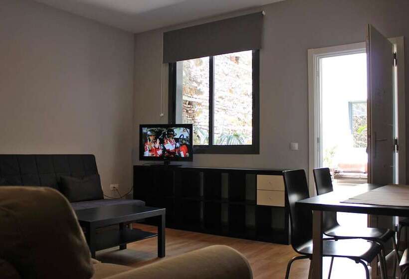 آپارتمان 2 خوابه, Apartamentos San Pablo
