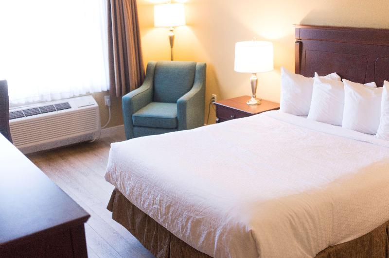 带大床的标准间, Best Western Plus Fredericton Hotel & Suites