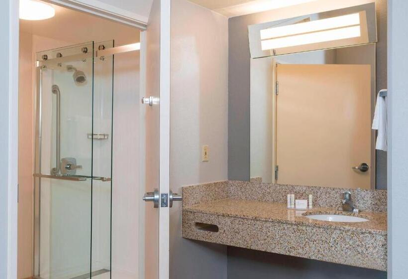 اتاق استاندارد با تخت بزرگ, Courtyard Louisville Downtown