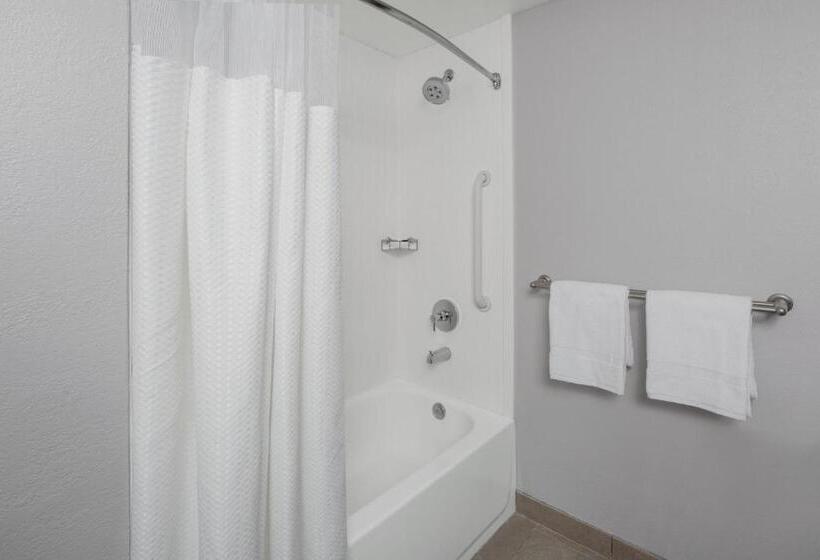 Номер Стандарт, Courtyard Tampa Oldsmar