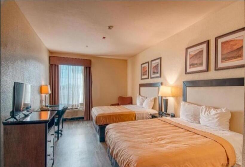 Люкс, Express Inn & Suites