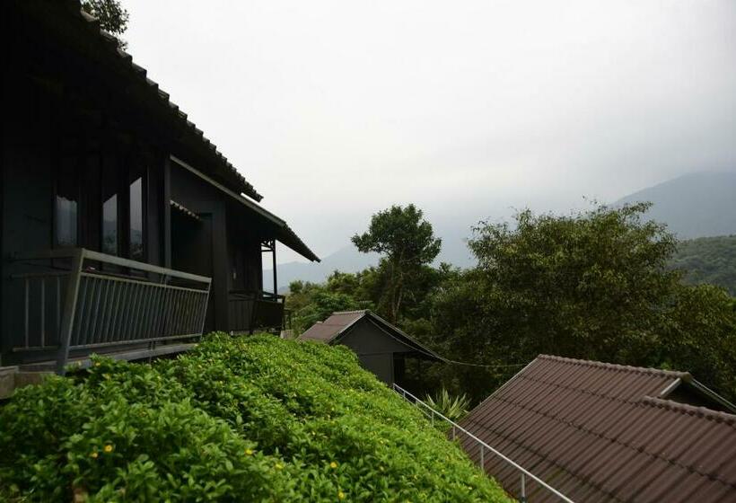 수피리어 방갈로, Wayanad Village Resort