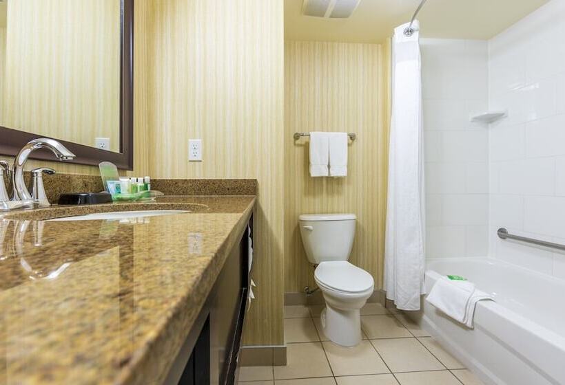 スタンダードルーム, Holiday Inn Hotel And Suites Kamloops, An Ihg