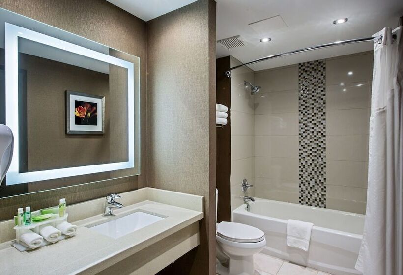 适合残疾人士使用的套间, Holiday Inn Express Hotel & Suites Swift Current, An Ihg