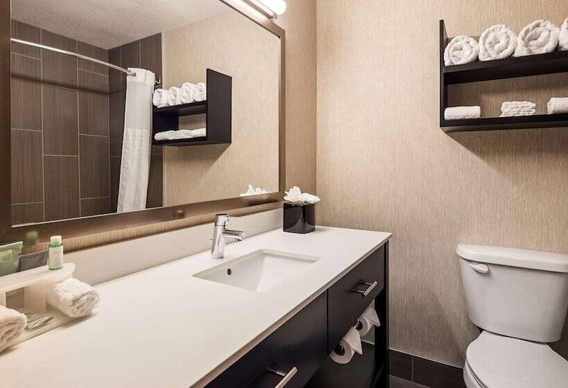 스탠다드 룸 더블 침대 2개, Best Western Greeley