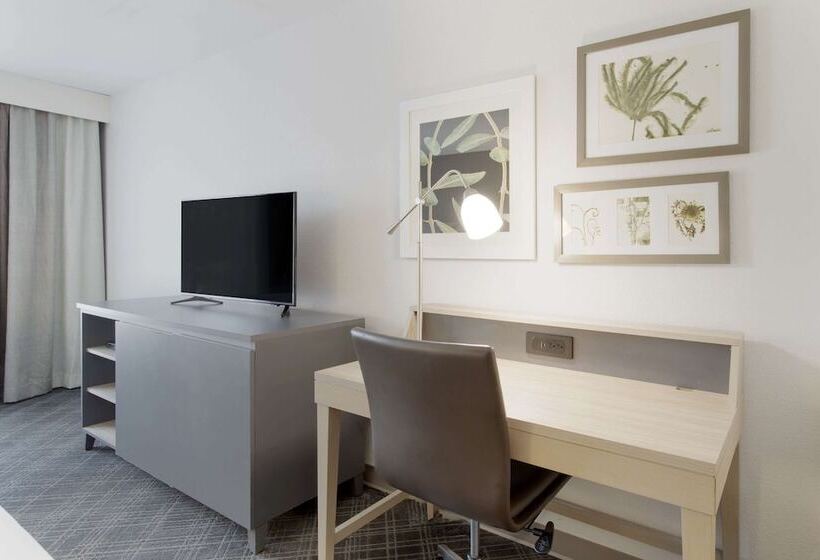 Люкс, Comfort Inn & Suites Rustoneast