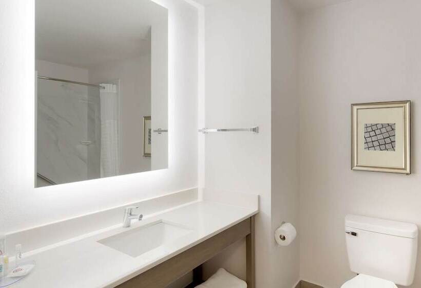 Люкс, Comfort Inn & Suites Rustoneast