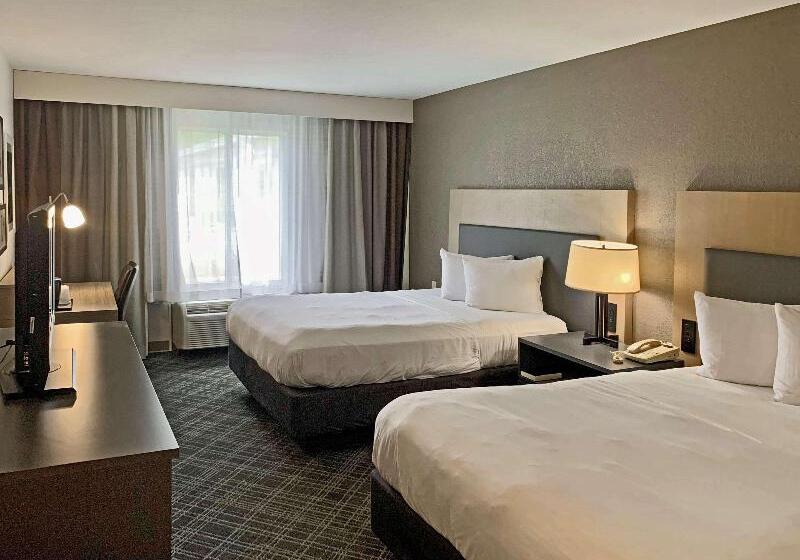 带特大床的标准间, Comfort Inn & Suites Rustoneast