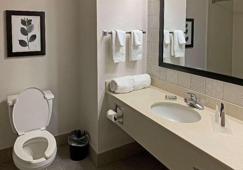 Стандартный Номер Кровать Кинг, Comfort Inn & Suites Rustoneast