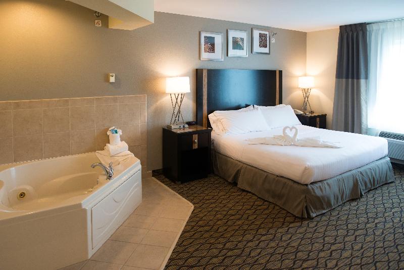 Стандартный Номер Кровать Кинг, Holiday Inn Express Hotel & Suites Chanhassen By Ihg