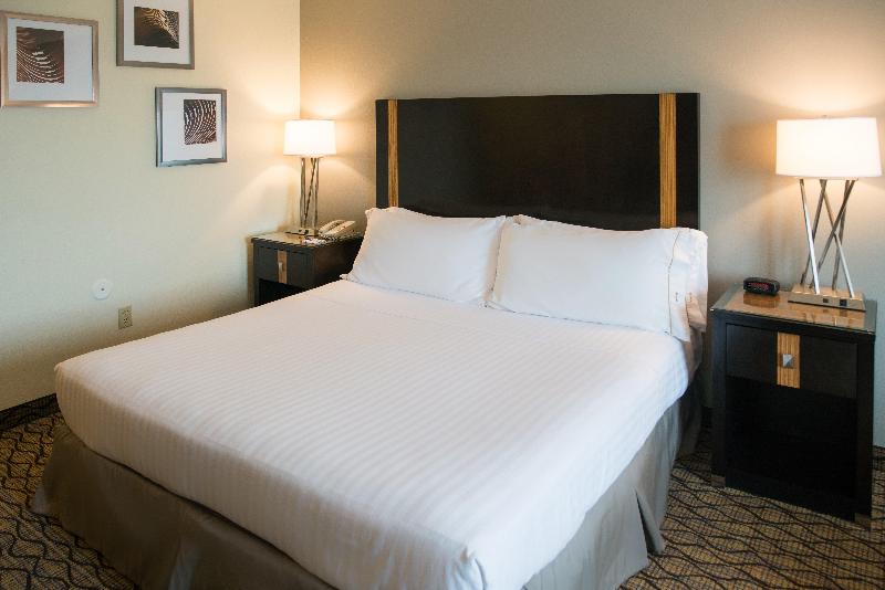 Quarto Executivo Cama King, Holiday Inn Express Hotel & Suites Chanhassen By Ihg