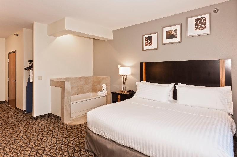 Стандартный Номер Кровать Кинг, Holiday Inn Express Hotel & Suites Chanhassen By Ihg