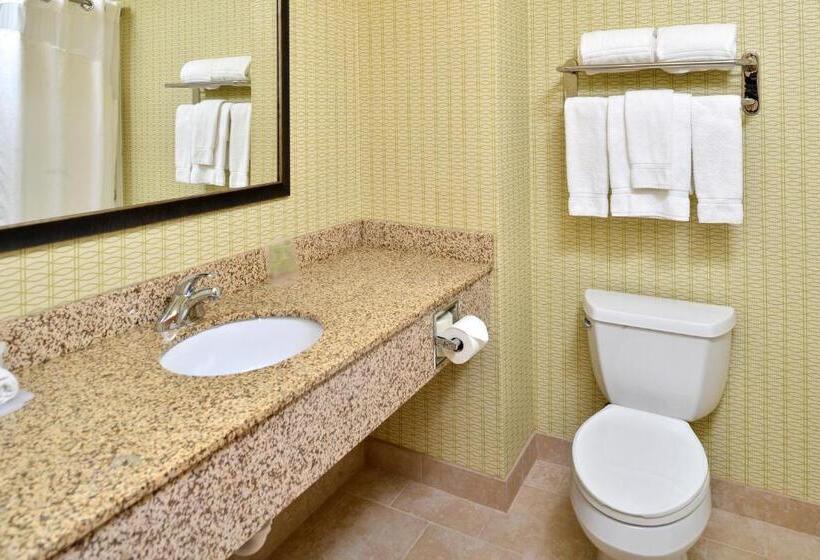 带大床的标准间, Holiday Inn Express Hotel & Suites Charlotte, An Ihg
