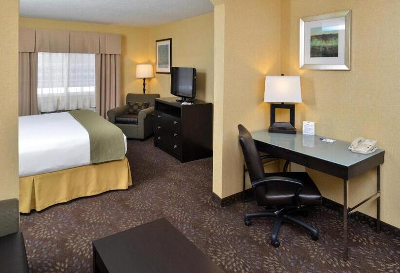 Номер Executive Кровать Кинг, Holiday Inn Express Hotel & Suites Charlotte, An Ihg