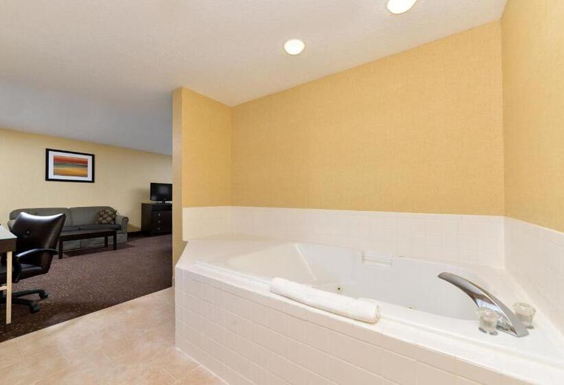 Номер Deluxe Адаптированный для Инвалидов, Holiday Inn Express Hotel & Suites Charlotte, An Ihg