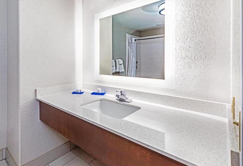 Номер Стандарт, Holiday Inn Express Hotel & Suites Lafayette South, An Ihg