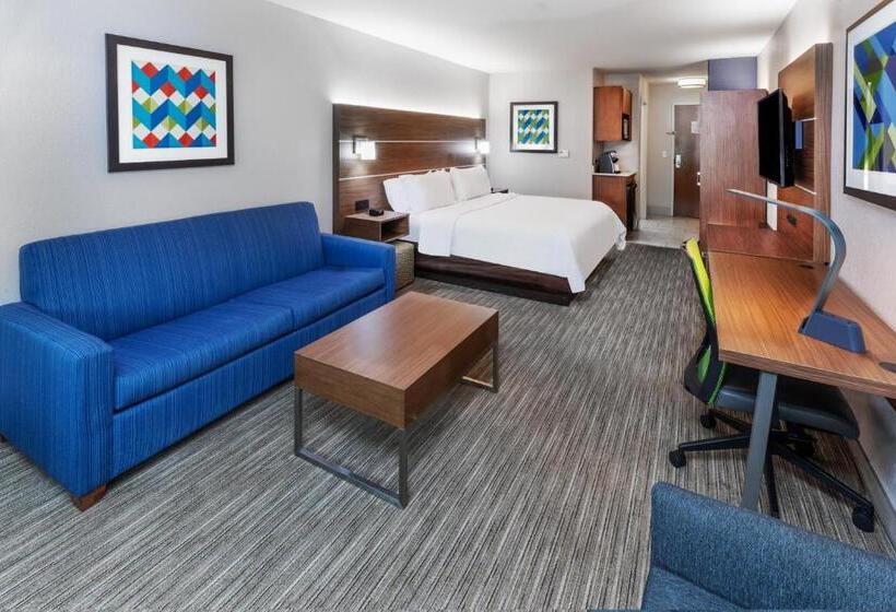 스위트 킹사이즈 침대, Holiday Inn Express Hotel & Suites Lafayette South, An Ihg