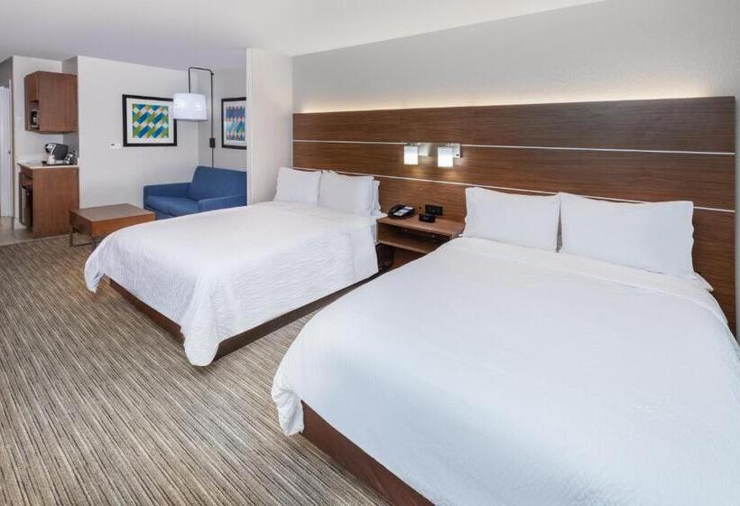 스위트, Holiday Inn Express Hotel & Suites Lafayette South, An Ihg