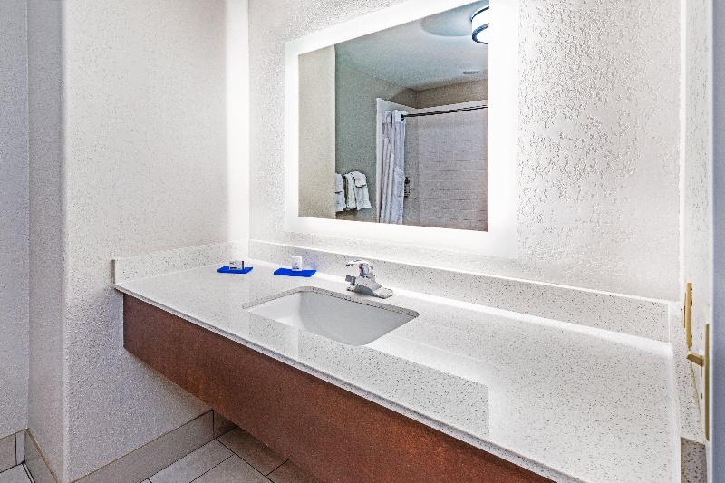 스탠다드 룸 킹사이즈 침대, Holiday Inn Express Hotel & Suites Lafayette South, An Ihg