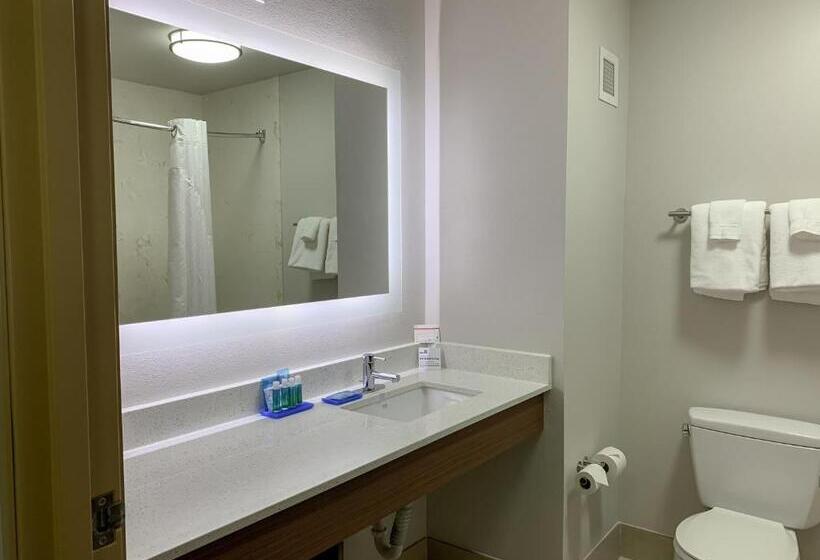 Стандартный Номер Кровать Кинг, Holiday Inn Express & Suites Lexington Downtown Area Keeneland, An Ihg