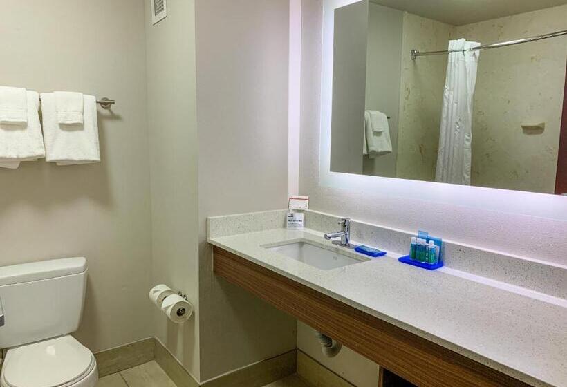 Люкс, Holiday Inn Express & Suites Lexington Downtown Area Keeneland, An Ihg