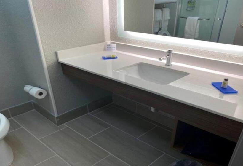 Номер Стандарт, Holiday Inn Express & Suites   Enterprise, An Ihg