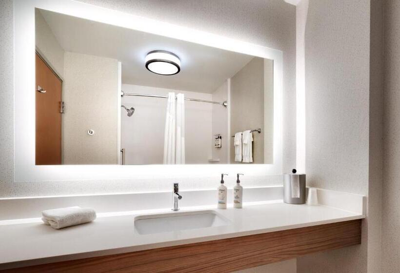 Стандартный Номер Кровать Кинг, Holiday Inn Express Billings East, An Ihg
