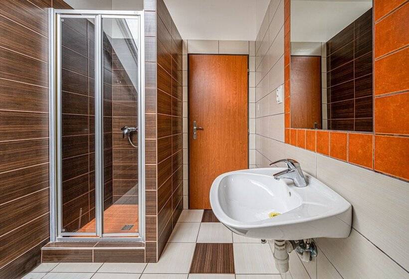 اتاق استاندارد با سرویس بهداشتی مشترک, Inter Hostel Liberec