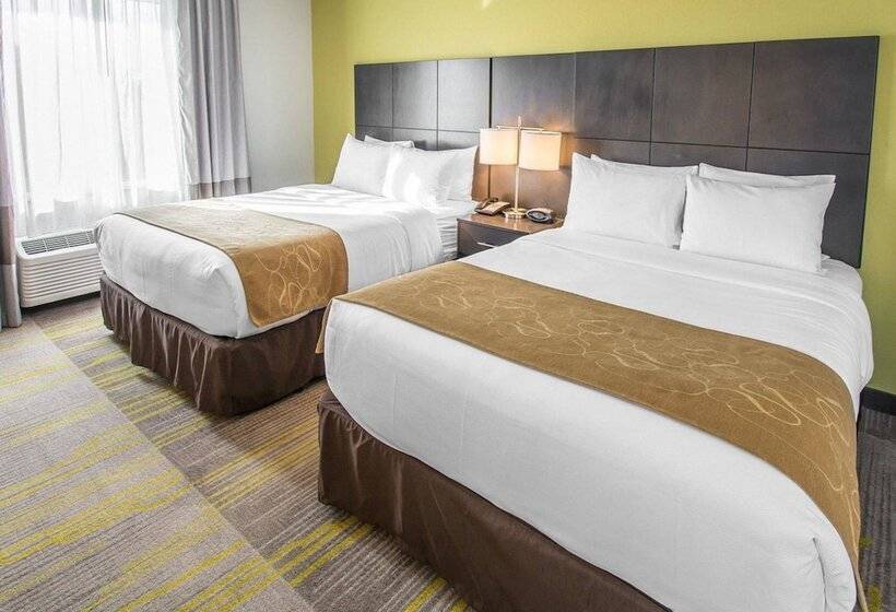 Люкс Superior, Comfort Suites Miami Airport North