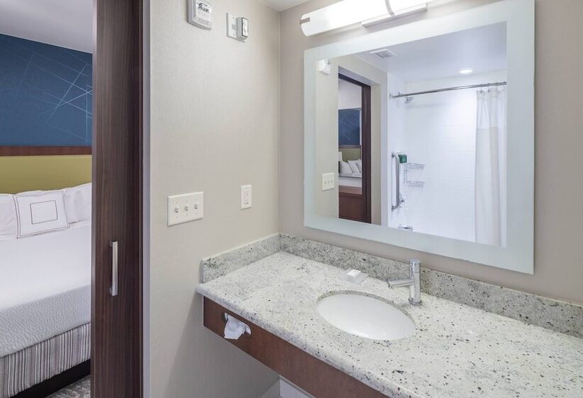 套房, Springhill Suites Alexandria Southwest