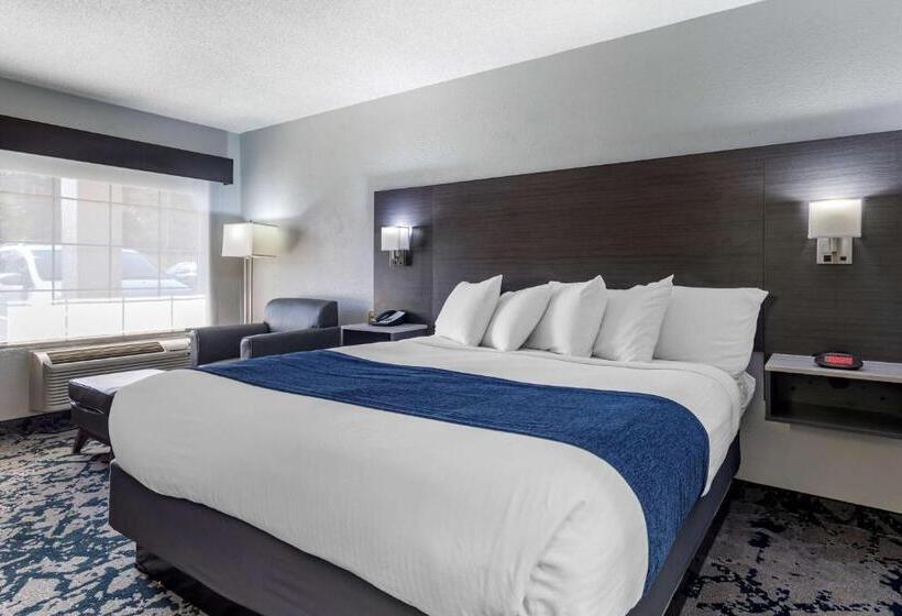 キングサイズベッドのスタンダードルーム, Best Western Allatoona Inn & Suites