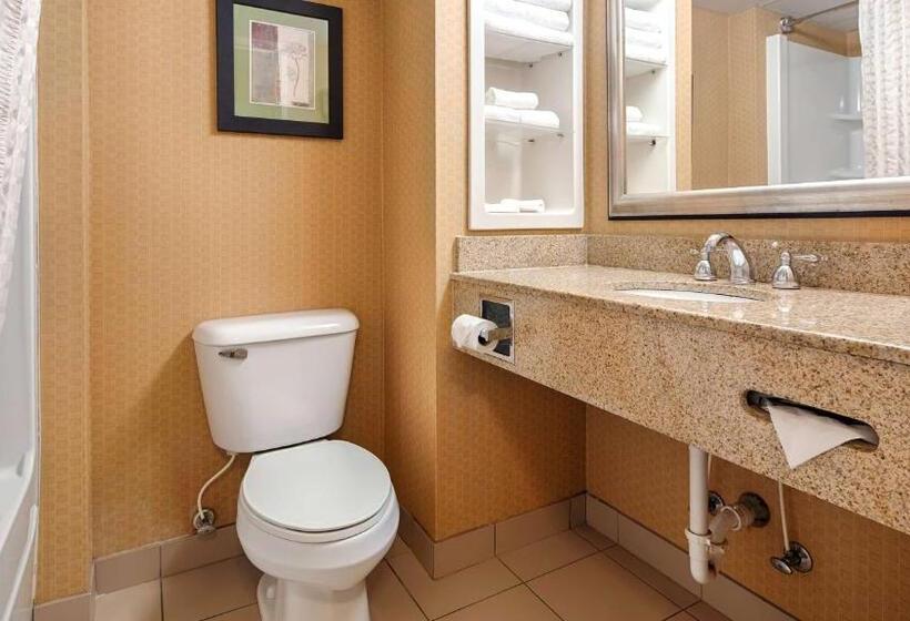 스탠다드 룸 킹사이즈 침대, Best Western Windsor Inn And Suites