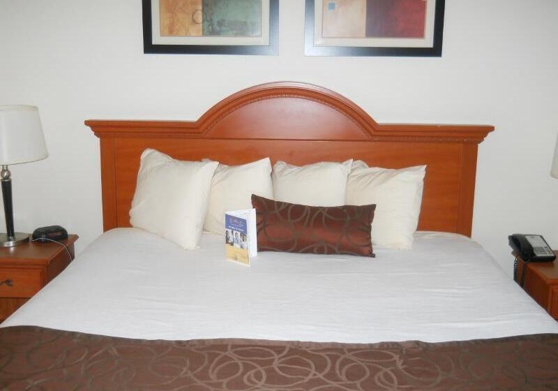 스위트 킹사이즈 침대, Best Western Windsor Inn And Suites