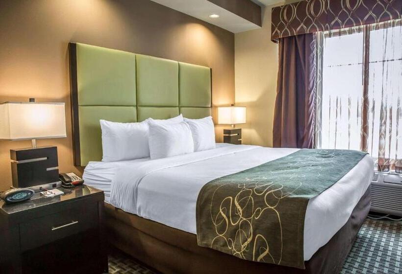 Люкс Кровать Кинг, Comfort Suites New Bern Near Cherry Point