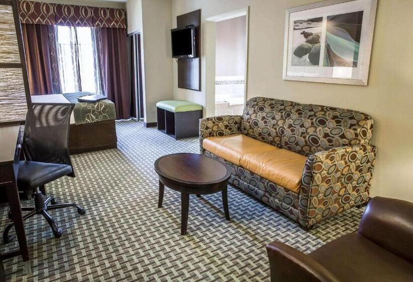 Люкс Кровать Кинг, Comfort Suites New Bern Near Cherry Point