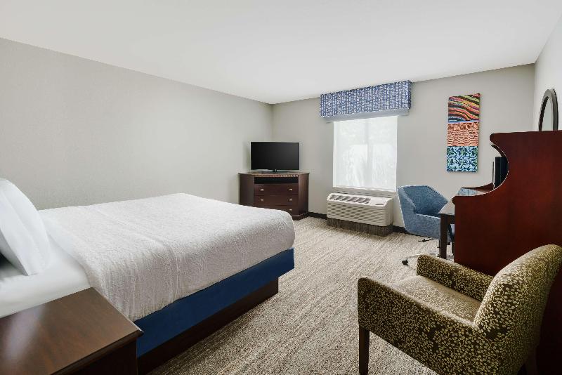 장애인을 위한 킹사이즈 침대 스탠다드 룸, Hampton Inn & Suites West Sacramento